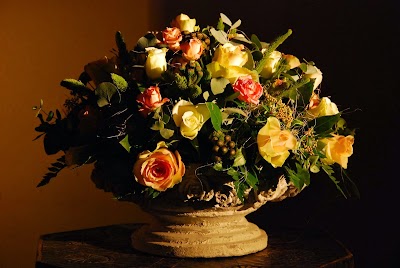 Photos of Bloemen Rosa