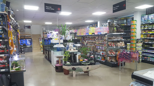 Taç Petshop XL