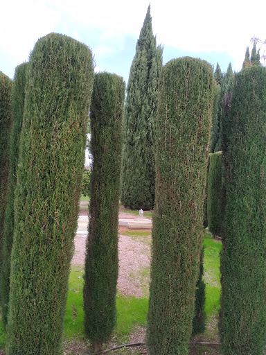 Parque Multicultural - Visual