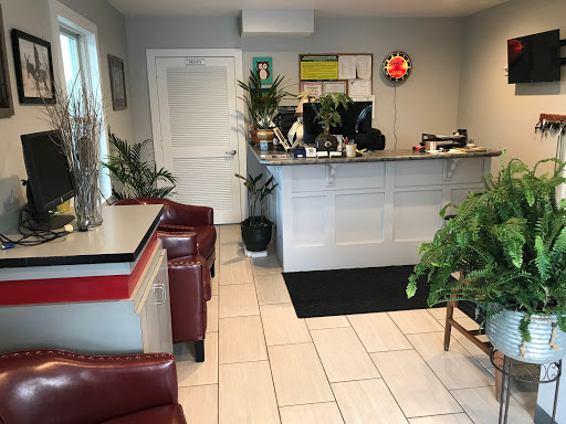 Auto Oasis - Visual