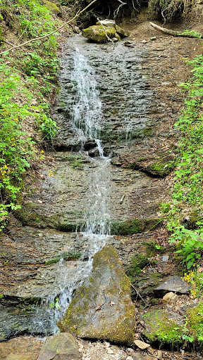Jefferson National Forest - Thumbnail