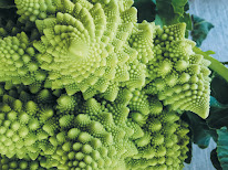 Corinne Moulet à Mées