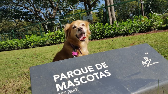 Dog Park, Author: Carlos Jiménez