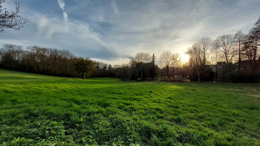 Photo de Ehpad Val de Brenne à Villedômer (37110)