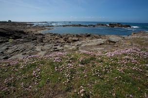 Photo n°30 de PETITS TRAINS TOURISTIQUES LE BAYON QUIBERON à Quiberon (Attraction touristique)