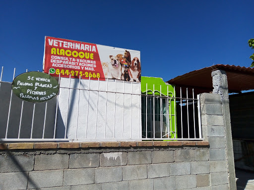Veterinaria Alacoque - Thumbnail