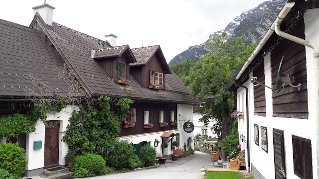 Krenn