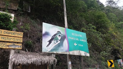 Photos of Alambi Reserve