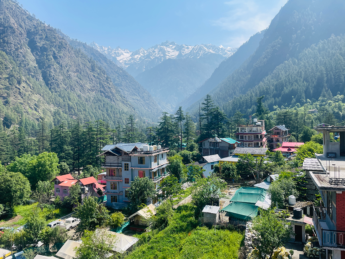 Jungle by sturmfrei Kasol