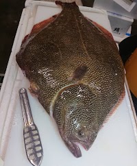 やわら寿し 北朝霞・朝霞台本店