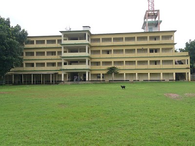 university