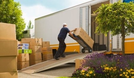 Quality Removals - Thumbnail