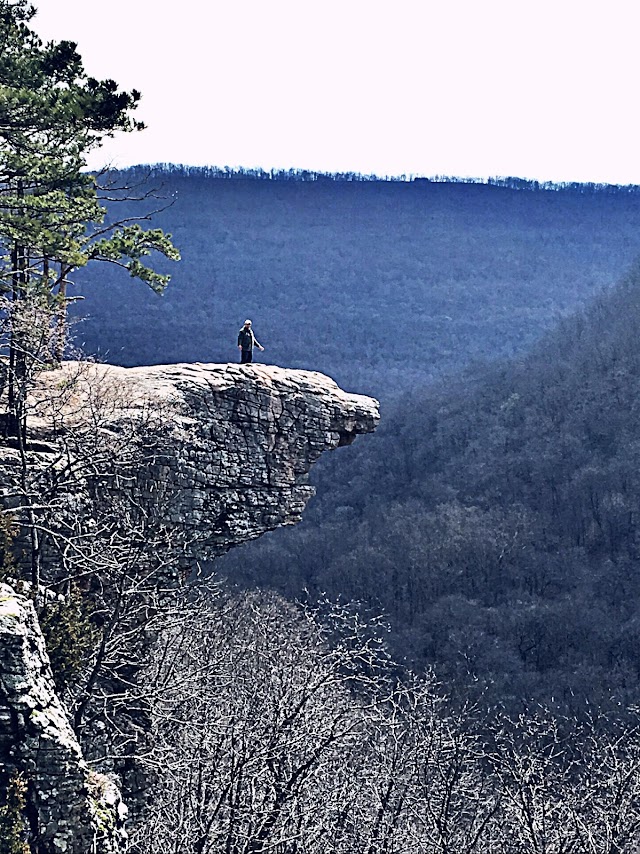 Whitaker Point Trailhead