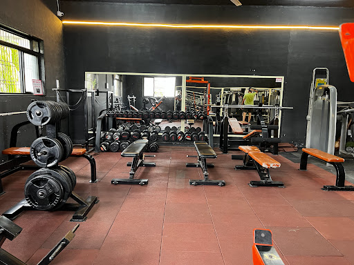 The Balance Gym (UNISEX)