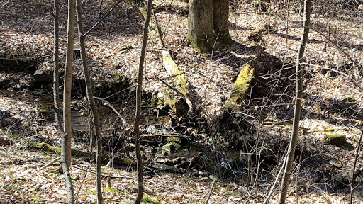 Darlington Trail - Thumbnail
