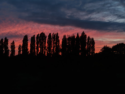 Ditton Field - Visual