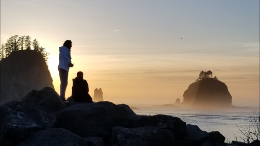 Olympic National