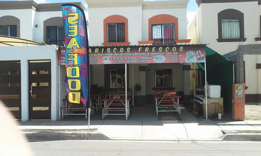 Latino Sport Bar - Thumbnail