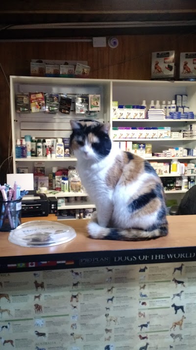 Photos of Veterinary Clinic MedVet