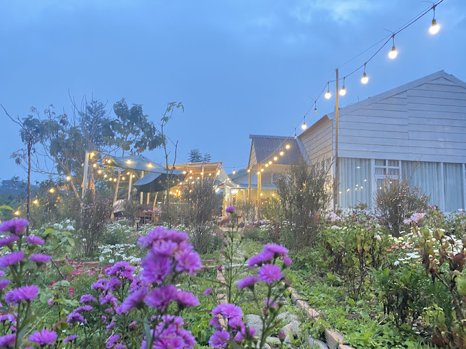 Homestay Lưng Chừng