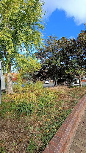 Square de Verdun - Thumbnail