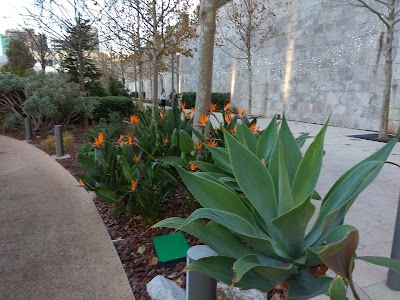 Photos of Commonwealth Park