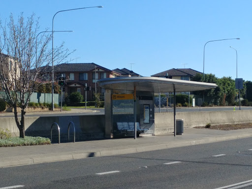Wilson T-Way Gallery - Australia