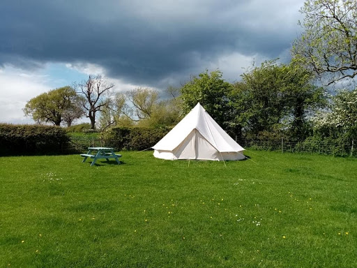 Grange Alpacas & Glamping - Thumbnail