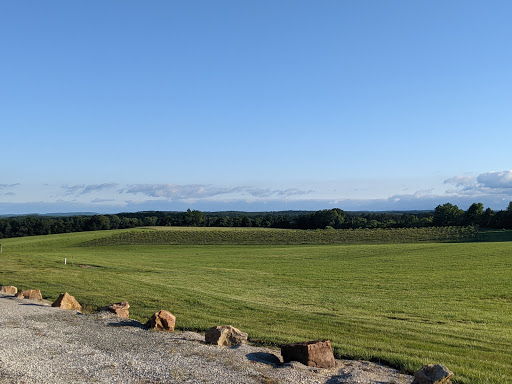 Weingarten Vineyard - Visual