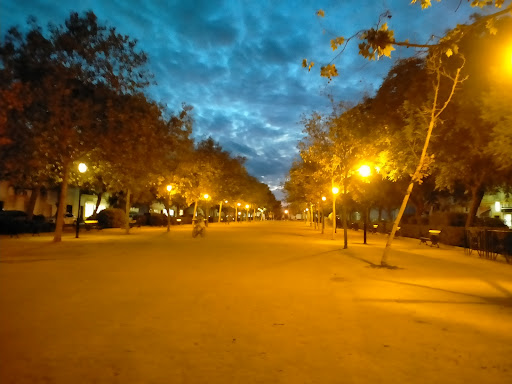 Alameda Jara