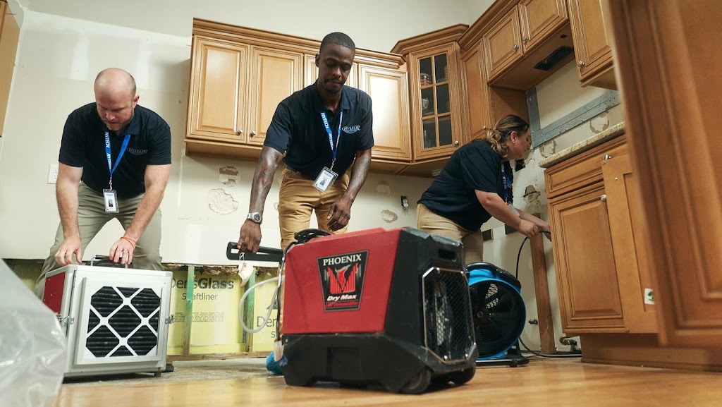 Rytech Restoration of Northern Virginia | Water Damage Restoration photo