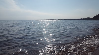 Photos of LiveBar Beach