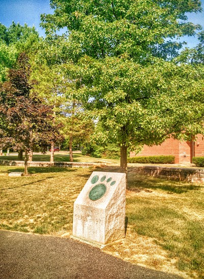 Photos of State College Area High School