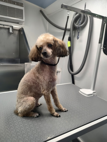 Haute Dawgs Mobile Pet Spaw