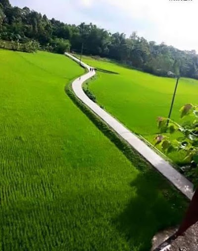 Photos of Shimrail Satpara Primary School