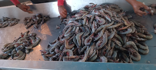 El Huitussi