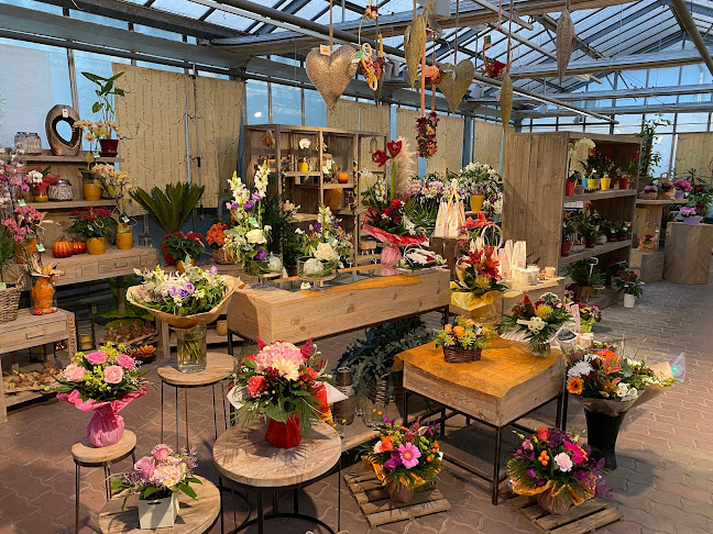 Fleurs Agnès - Strasbourg