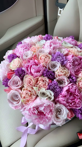 orar Royal Rose Bucharest