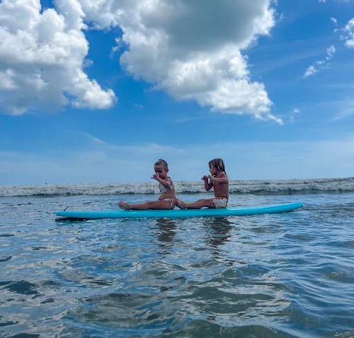 Surfin' NSB - Visual
