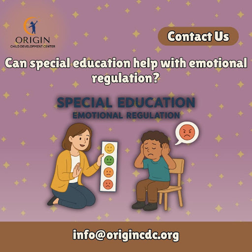 **Can Special Education Help With Emotional Regulation? 💙** post image