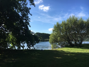 Photo n°6 de Flower Camping | Les Berges de la Dordogne à Trémolat (Piscine)
