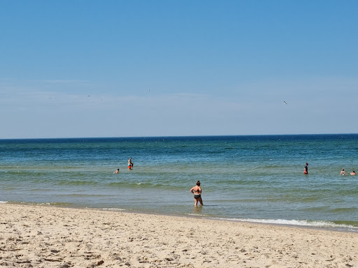 Dog beaches in Westerland - Thumbnail