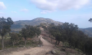 Photo n°11 de Club Hippique Maximois à Sainte-Maxime (Centre équestre)