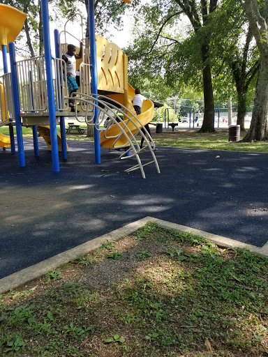 Grayson Park - Visual