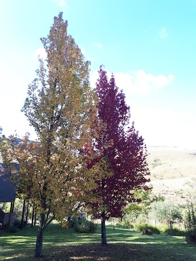 Photos of Moorfield Mountain Farm