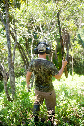 Domaine De Saint Denis by null