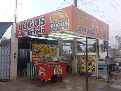 Dogos de la esthela