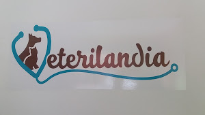 VETERILANDIA 3