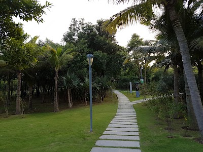 Photos of Shenzhen Bay Park Liuhuashan