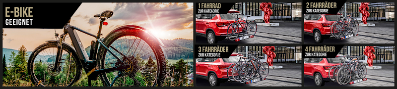 Bullwing Fahrradträger und Zubehör photo